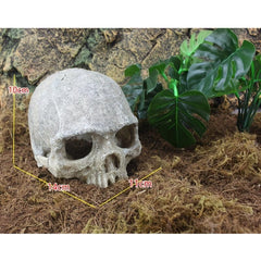 Terrarium Skull Decor Reptile House Hide Skull Cave Fish Tank Decor