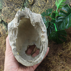 Terrarium Skull Decor Reptile House Hide Skull Cave Fish Tank Decor