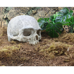 Terrarium Skull Decor Reptile House Hide Skull Cave Fish Tank Decor