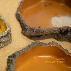 Resin Rock Dish Reptile Amphibian Feeding Bowl for Pets