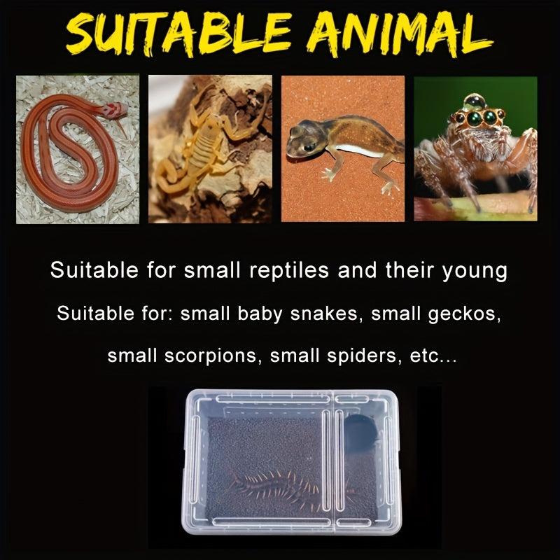 4PCS Reptile Feeding Box for Geckos Spiders Scorpions Tortoises