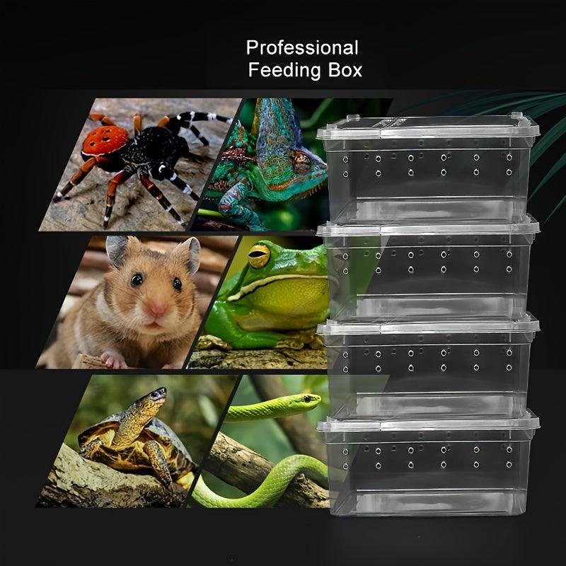 4PCS Reptile Feeding Box for Geckos Spiders Scorpions Tortoises
