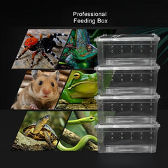 4PCS Reptile Feeding Box for Geckos Spiders Scorpions Tortoises