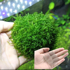 5pcs Water Grass Mesh Stainless Steel for Aquarium Fish Tank