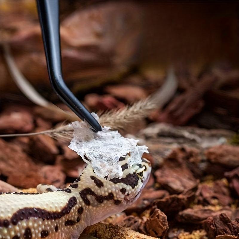 Stainless Steel Reptile Feeding Tweezers for Climbing Pet