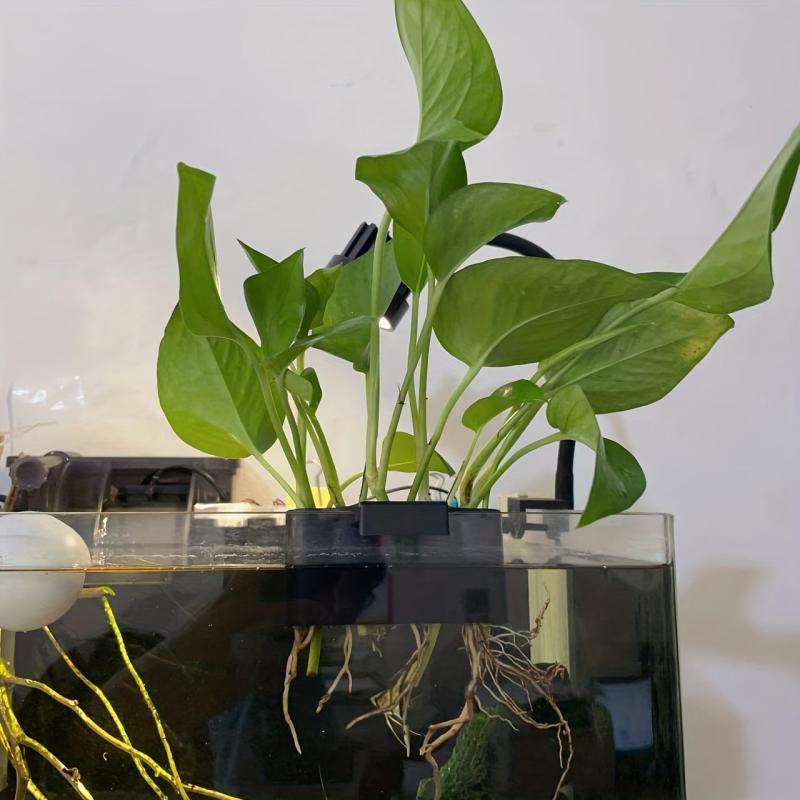 Aquarium Plant Holder Hang Decorative Aquatic Plants Fish Tank