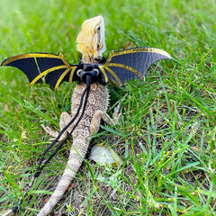 Adjustable Lizard Harness Leash for Reptiles Bearded Dragon Wings Halloween