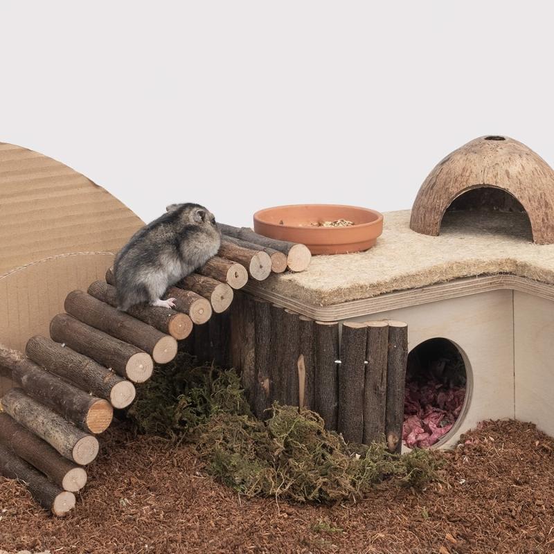 2 Pack Wooden Ladder Bridge for Small Pets