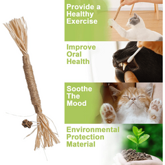 Natural Silvervine Sticks Cat Chew Toy For Kittens Dental Care