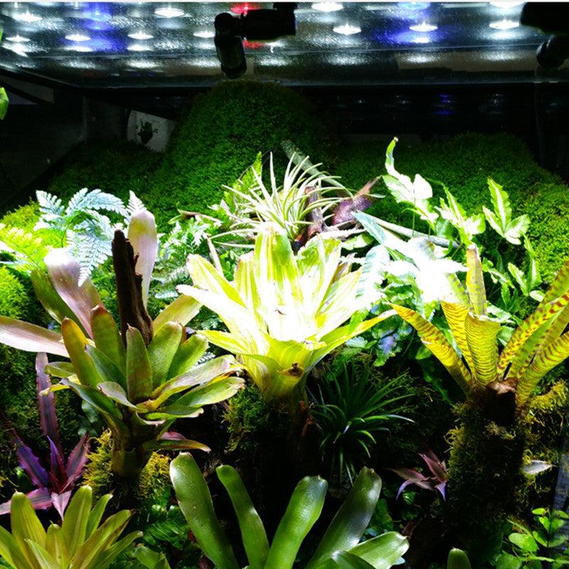 Reptile Terrarium Atomization Nozzle for Rainforest Landscape