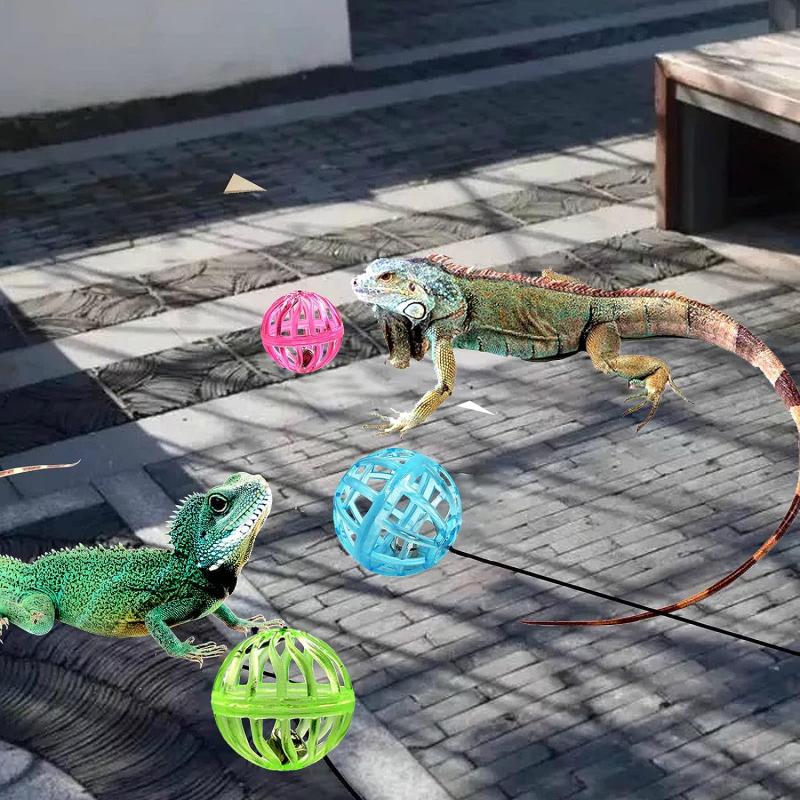 Bearded Dragon Toy Bell Ball with Suction Cup and Rope