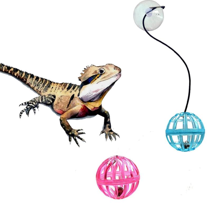 Bearded Dragon Toy Bell Ball with Suction Cup and Rope