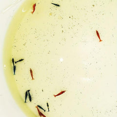 Drip Acclimation Kit for Aquariums Fish Tanks