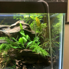 Drip Acclimation Kit for Aquariums Fish Tanks