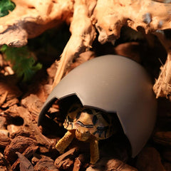 Cozy Small Pet Cave, Secure for Spiders, Snakes, Lizards