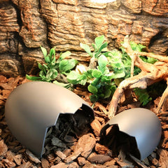 Cozy Small Pet Cave, Secure for Spiders, Snakes, Lizards
