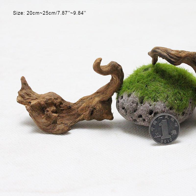 Natural Aquarium Driftwood Branches Fish Tank Decoration