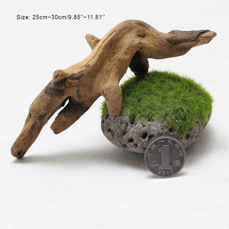 Natural Aquarium Driftwood Branches Fish Tank Decoration