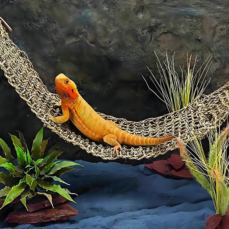 Bearded Dragon Hammock Lizard Lounger with Suction Cup