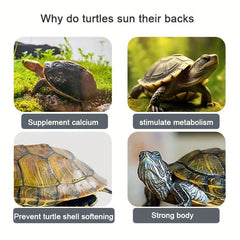 Double Ladder Turtle Terrace Sunbathing Platform Reptile Habitat