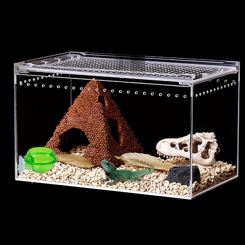 Reptile Suction Cup Feeder Bowl for Crickets Geckos