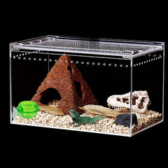 Reptile Suction Cup Feeder Bowl for Crickets Geckos