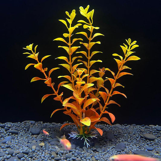 Plastic Simulation Aquarium Plant Decoration