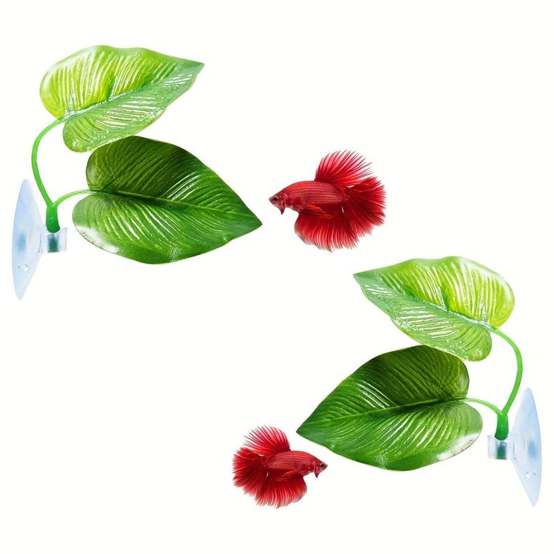 Natural Betta Fish Leaf Pad Aquarium Decor