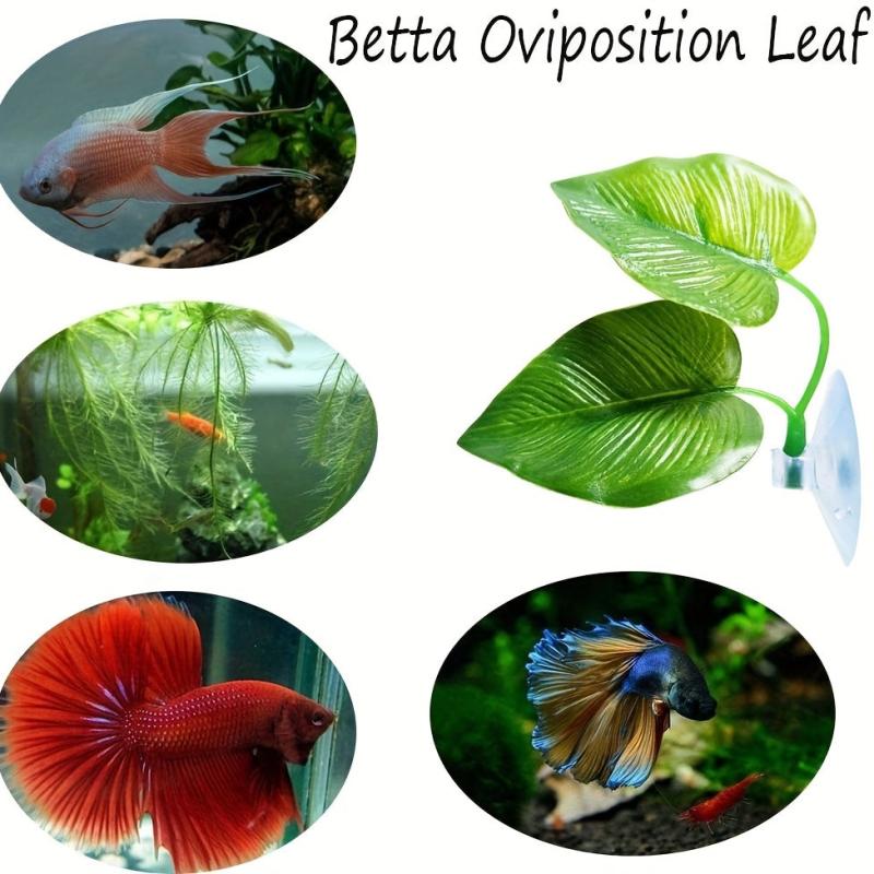 Natural Betta Fish Leaf Pad Aquarium Decor