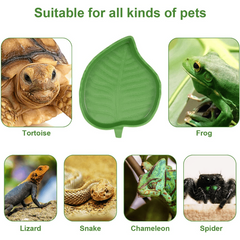Leaf Shaped Reptile Food Bowl for Turtles and Snakes