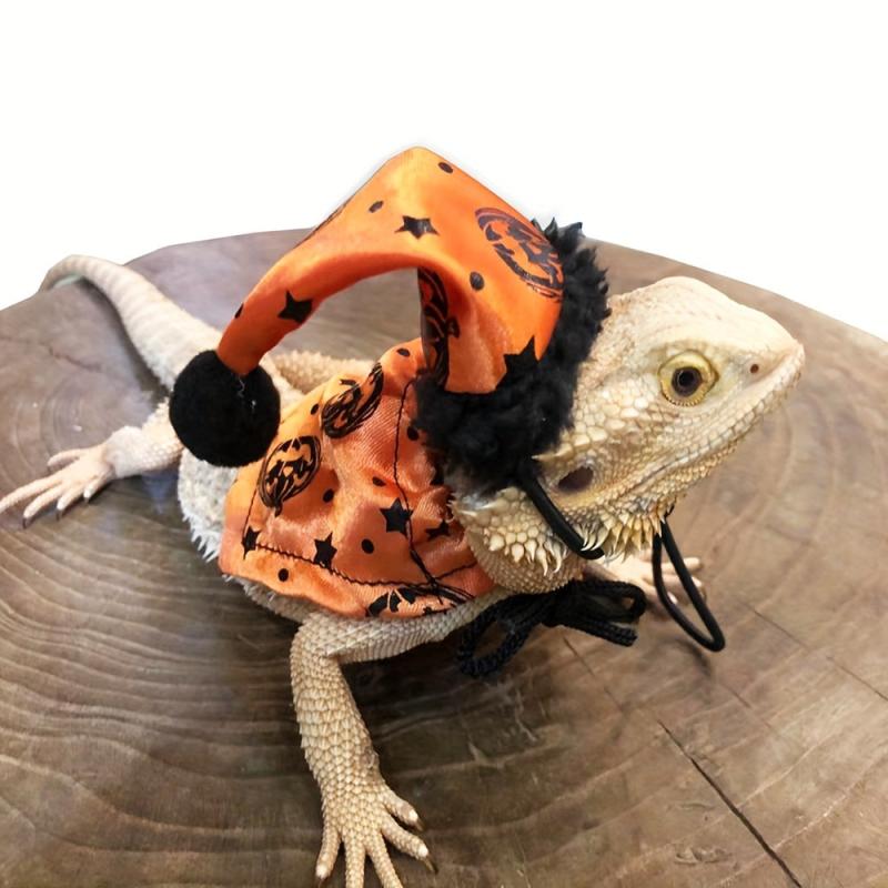 Lizard Halloween Costume Suit with Traction Rope and Christmas Hat