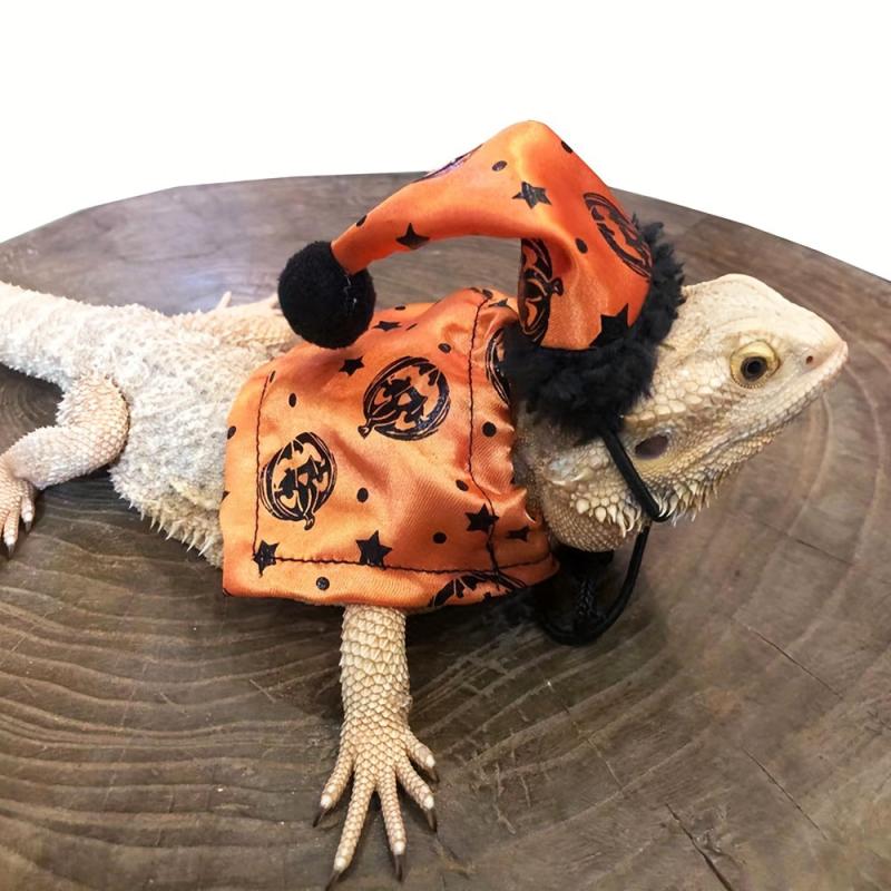 Lizard Halloween Costume Suit with Traction Rope and Christmas Hat