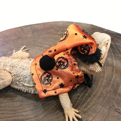 Lizard Halloween Costume Suit with Traction Rope and Christmas Hat