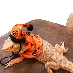Lizard Halloween Costume Suit with Traction Rope and Christmas Hat