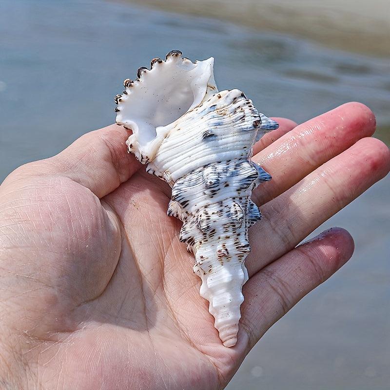 Tower Snail Fish Tank Landscaping Conch Shell Aquarium Decoration