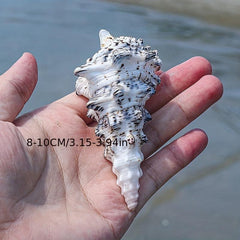 Tower Snail Fish Tank Landscaping Conch Shell Aquarium Decoration