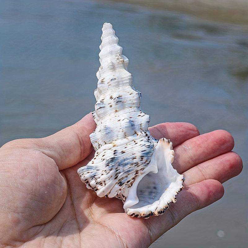 Tower Snail Fish Tank Landscaping Conch Shell Aquarium Decoration