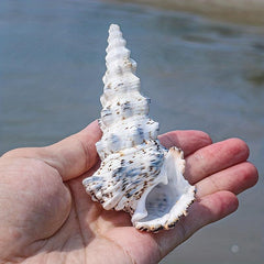 Tower Snail Fish Tank Landscaping Conch Shell Aquarium Decoration