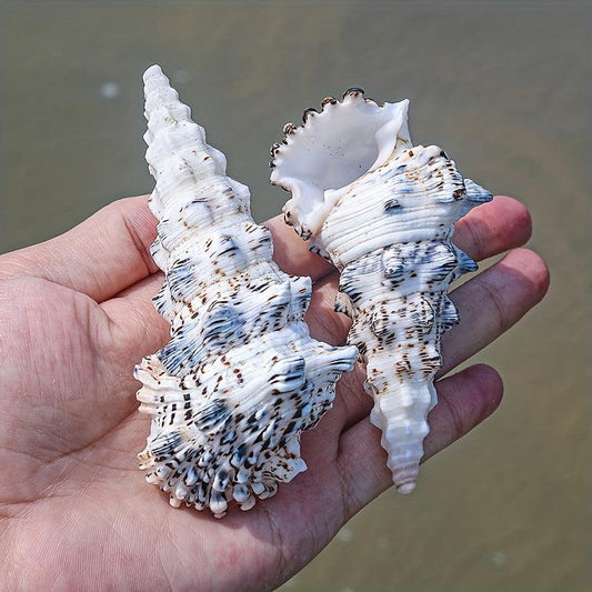 Tower Snail Fish Tank Landscaping Conch Shell Aquarium Decoration