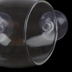 Mini Crystal Glass Fish Tank for Growing Aquatic Plants