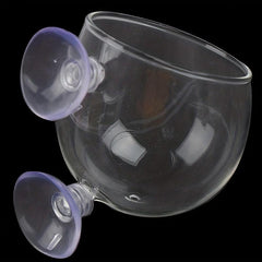 Mini Crystal Glass Fish Tank for Growing Aquatic Plants