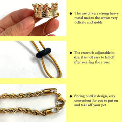 2 Piece Bearded Dragon Outfit Crown & Necklace for Halloween