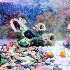 Fish Tank Wood Trunk Decoration with Hideout Caves