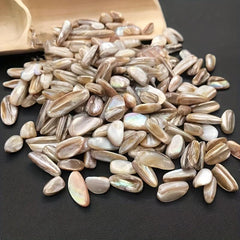 Freshwater Shells Crushed Stones Aquarium Landscaping Fish Tank Ornaments