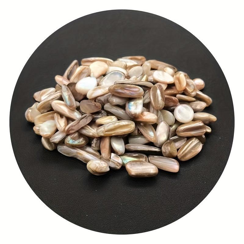 Freshwater Shells Crushed Stones Aquarium Landscaping Fish Tank Ornaments