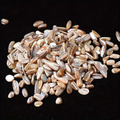 Freshwater Shells Crushed Stones Aquarium Landscaping Fish Tank Ornaments