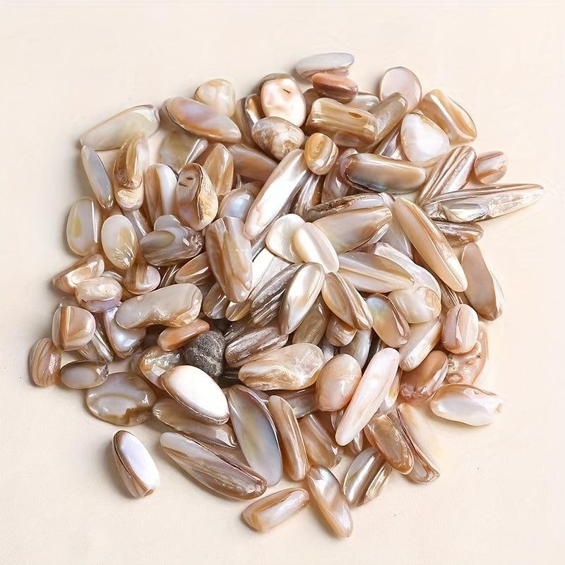 Freshwater Shells Crushed Stones Aquarium Landscaping Fish Tank Ornaments