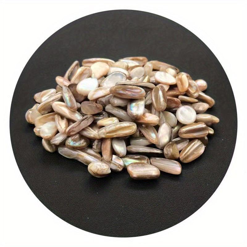 Freshwater Shells Crushed Stones Aquarium Landscaping Fish Tank Ornaments