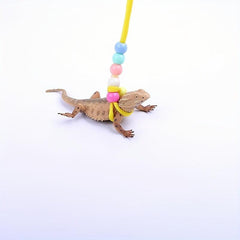 Adjustable Reptile Harness Leash for Small Animals