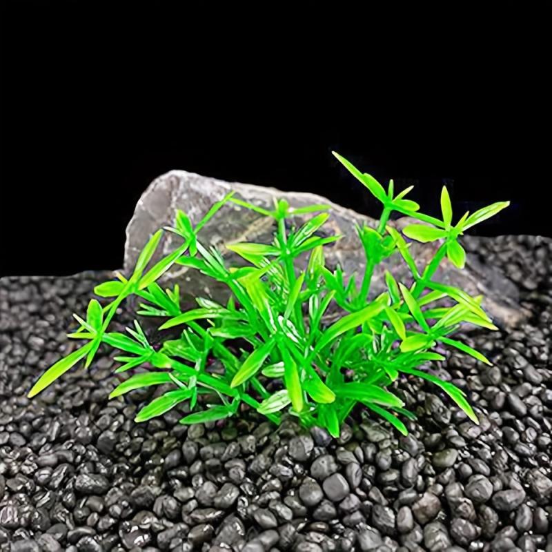 5pcs Pet Aquarium Plants Small Plastic Artificial Mini Grass Set